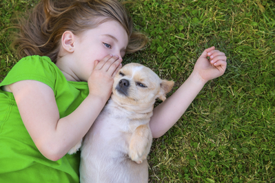 Girl whispering to an ugly dog.